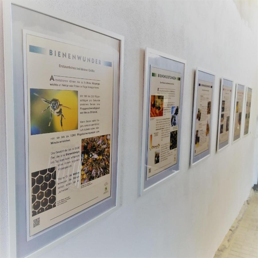 Turmblick-Gaestequartier-Coswig-Hier-Erwartet-Sie-Individueller-Service-Im-Herzen-Der-Altstadt コスヴィッヒ エクステリア 写真